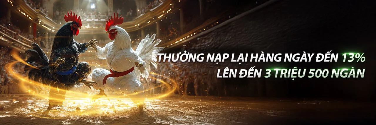 Đá Gà Trực Tuyến Hấp Dẫn tại mmo88 khuyến mãi